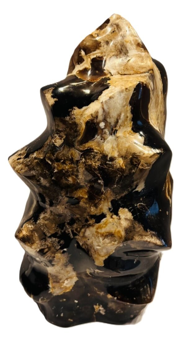 Carved black opal flame specimen sians emporium Polished black opal flame carving displaying glossy jet black body tone creamy tan veining and natural matrix patterns on an isolated white background